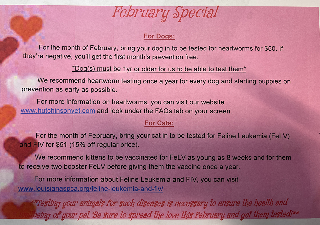 Hutchinson Veterinary Clinic Amite, Louisiana 70422 > Home